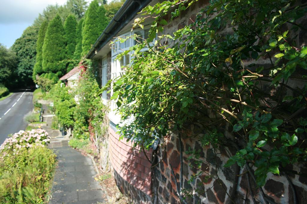 The Bark House Hotel ทิเวอร์ตัน ภายนอก รูปภาพ